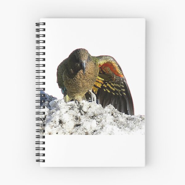 Item preview, Kea Bird designed and sold by wootee-designer.