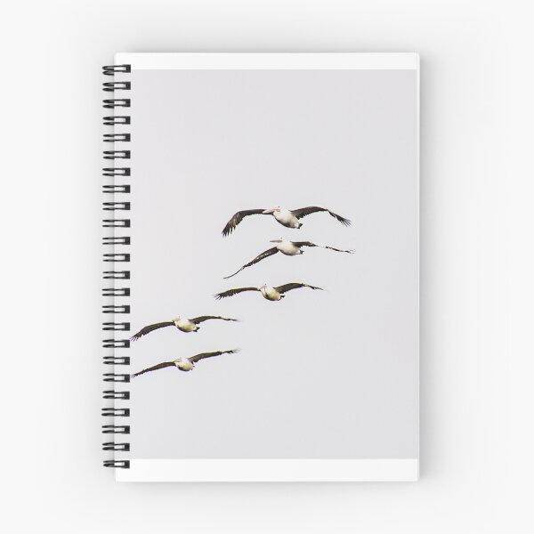 Item preview, Pelican Flying in Formation designed and sold by Leonard Fernandes.