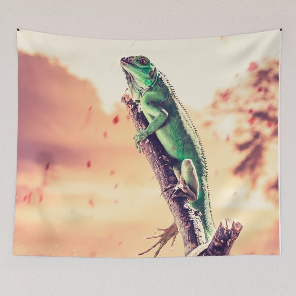 Item preview, Iguana Dream designed and sold by AniGen.
