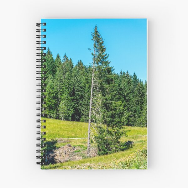 Item preview, Conifer Tree designed and sold by Radibor78.