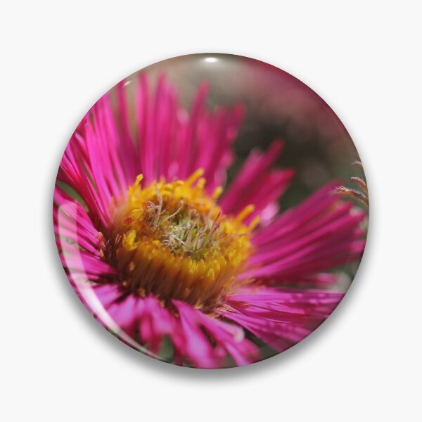 Item preview, Aster, a star designed and sold by cuprum.