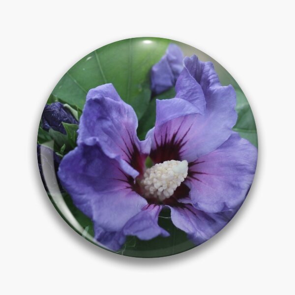 Item preview, Hibiscus syriacus designed and sold by cuprum.