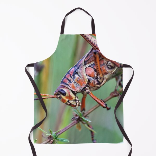 Item preview, Eastern Lubber Grasshopper designed and sold by cuprum.