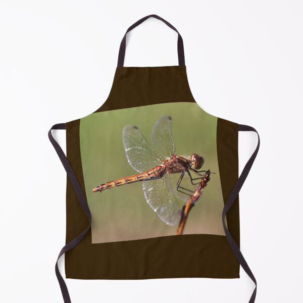 Item preview, Vagrant Darter designed and sold by cuprum.