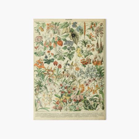 Item preview, Adolphe Millot Fleurs D designed and sold by hillarymoore06.