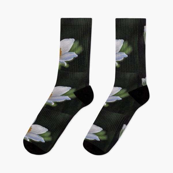 Item preview, Pinwheel White Pulsatilla. designed and sold by John Ray.