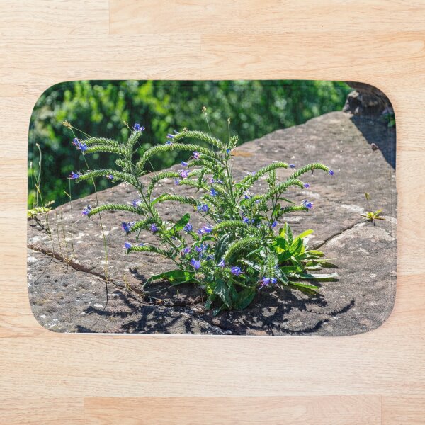 Item preview, Plant growing on rock designed and sold by Radibor78.