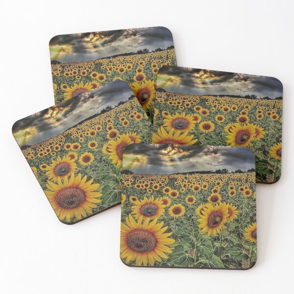 Item preview, Field of sunflowers designed and sold by Roberto Pagani.