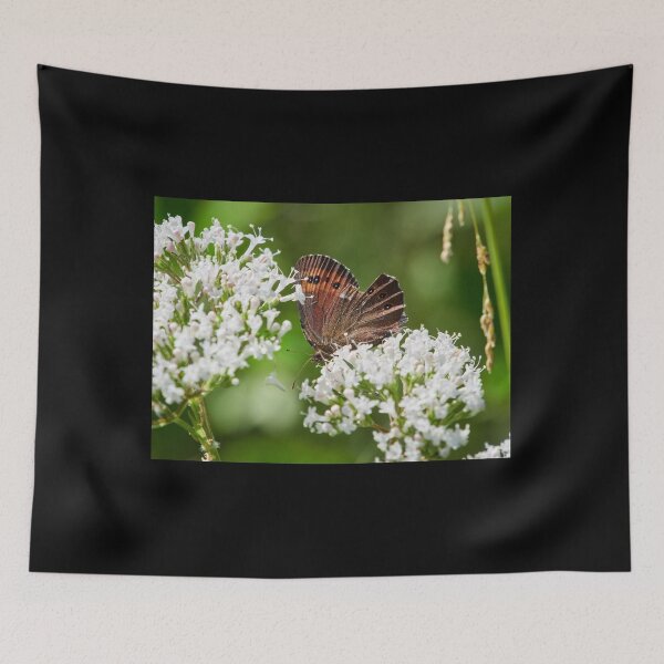 Item preview, Mmmm . Arran brown designed and sold by Jouko Lehto Photography.