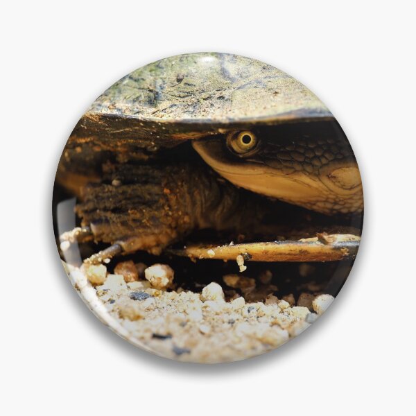 Artikelvorschau, Australische Schildkröte in einer grünen Schale entworfen und verkauft von Manic-Spider.