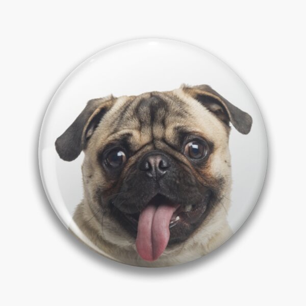 Item preview, My Soulmate Is A Dog - Pug Puppy designed and sold by Borislav Shekerdzhiyski.