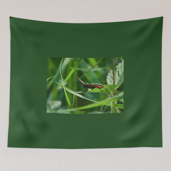 Item preview, Ready stedy g. Arran brown designed and sold by Jouko Lehto Photography.