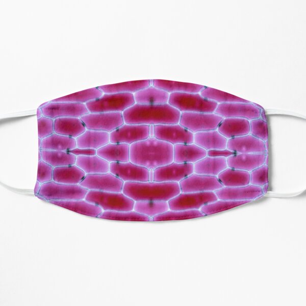 Fruit and Veg Series- Red onion Mask