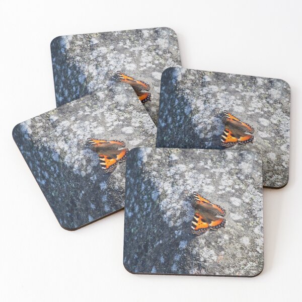 Item preview, Loving the rock. Small tortoiseshell designed and sold by Jouko Lehto Photography.