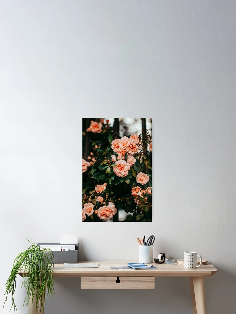 Thumbnail 2 of 3, Poster, Beautiful flowers designed and sold by Basic310.