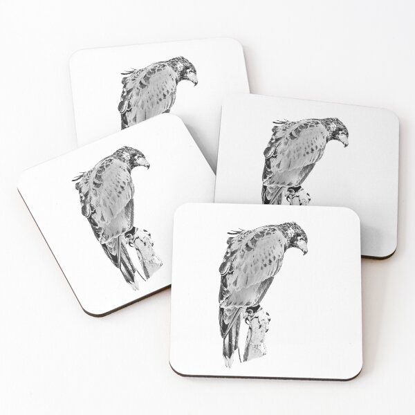 Item preview, Harris Hawk designed and sold by Dalyndigital Photography.