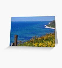 Sweden, the View from Ale's Stones Greeting Card