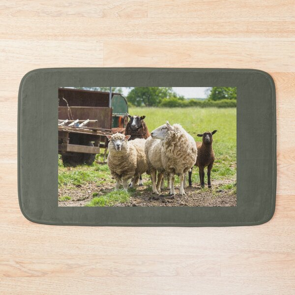 Item preview, Mixed Flock of Sheep  designed and sold by Jane Stanley Photography.