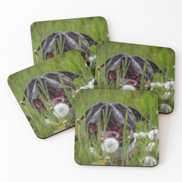 Item preview, Staffy happy dandelion vectorized designed and sold by Beyond Words.