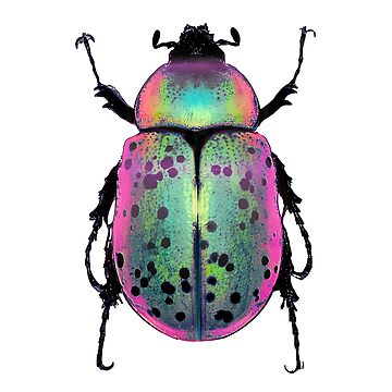 Artwork thumbnail, Pink and Green Beetle by dinaaaaaah