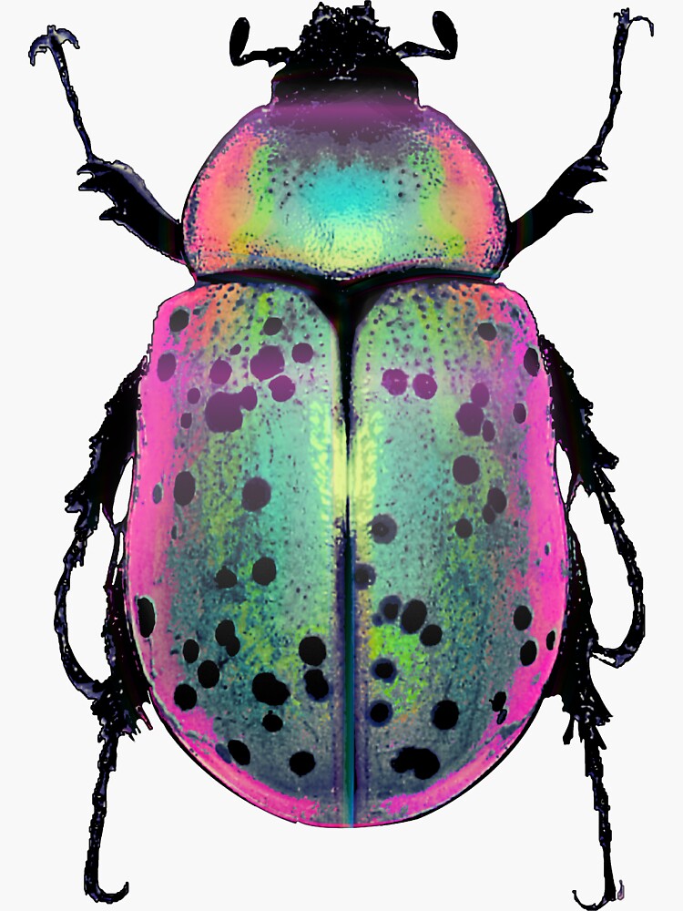 Thumbnail 3 of 3, Sticker, Pink and Green Beetle designed and sold by dinaaaaaah.
