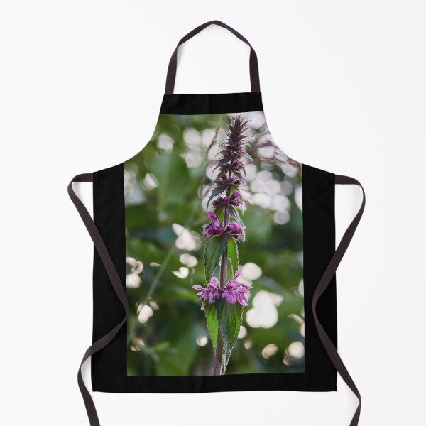 Aperçu de l'œuvre Marsh Woundwort 1 créée et vendue par Jouko Lehto Photography.