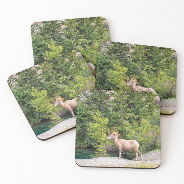 Item preview, Bighorn sheep in the Rocky Mountains designed and sold by Photopat.