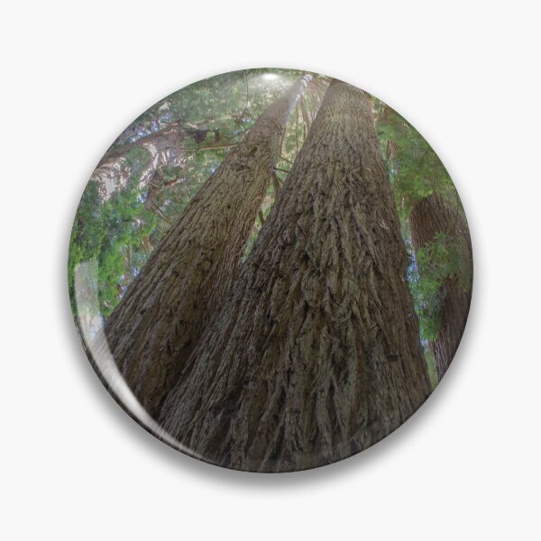 Item preview, Nature's Cathedral designed and sold by PepperMendez.
