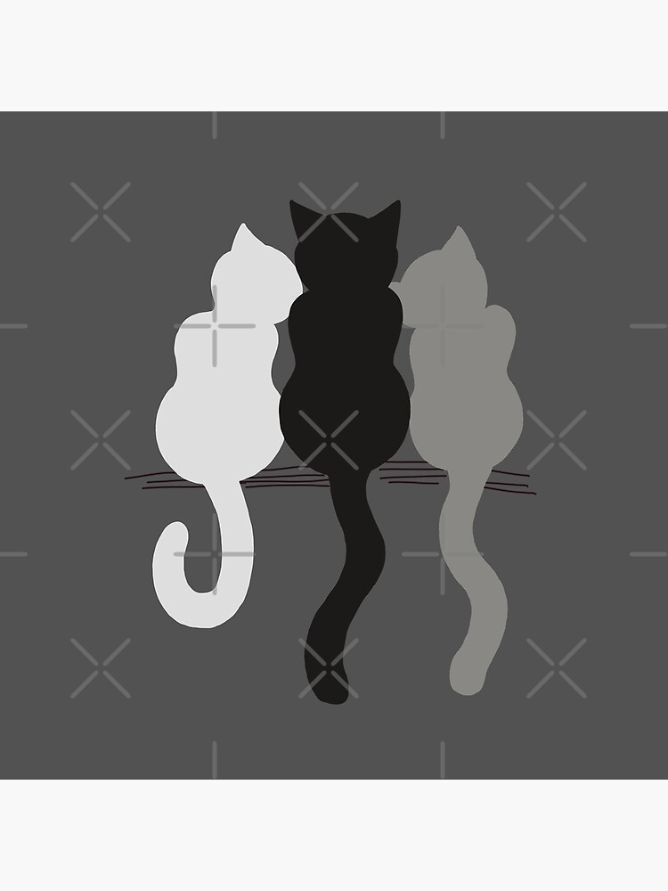 Three Cat Friends Forever in Gray Background - Black, White Gray Cats  Bestfriends