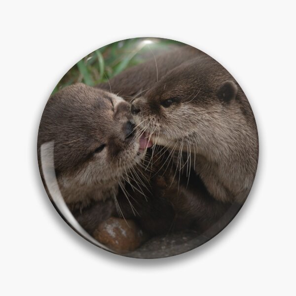 Item preview, Kissing Otters designed and sold by rawshutterbug.
