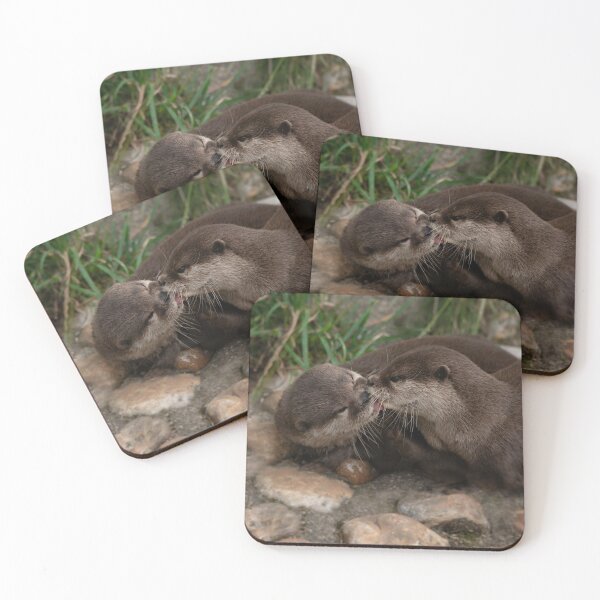 Item preview, Kissing Otters designed and sold by rawshutterbug.