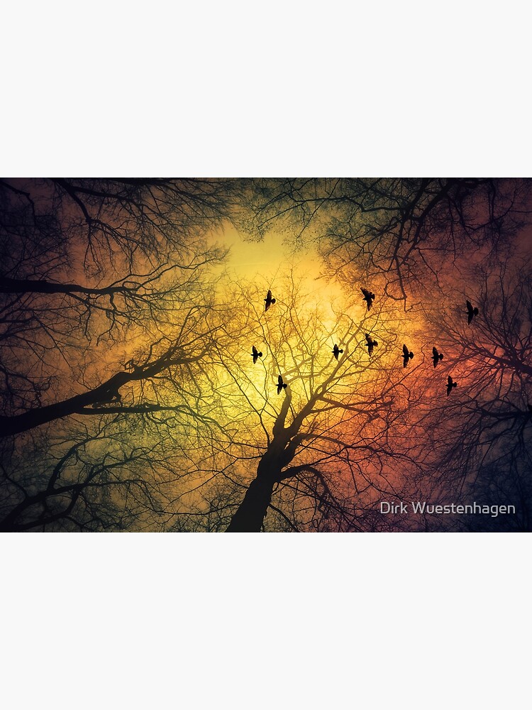 inVasion - tree silhouettes and flock of birds against a dramatic sky by DyrkWyst