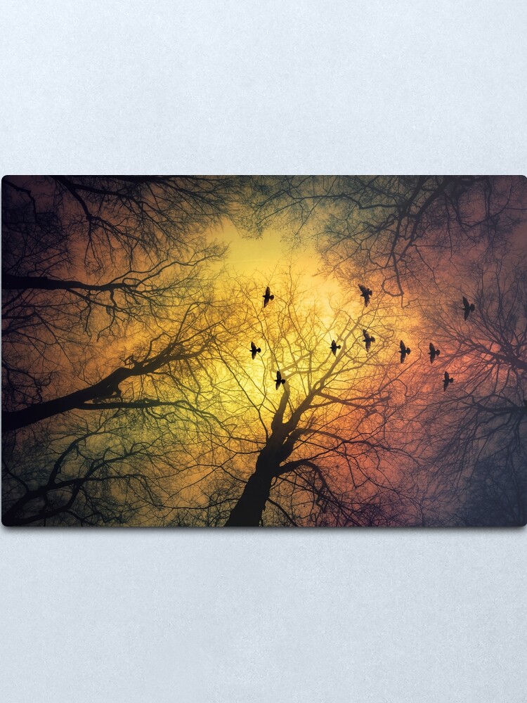 Alternate view of inVasion - tree silhouettes and flock of birds against a dramatic sky Metal Print