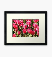 Red Tulips Framed Print