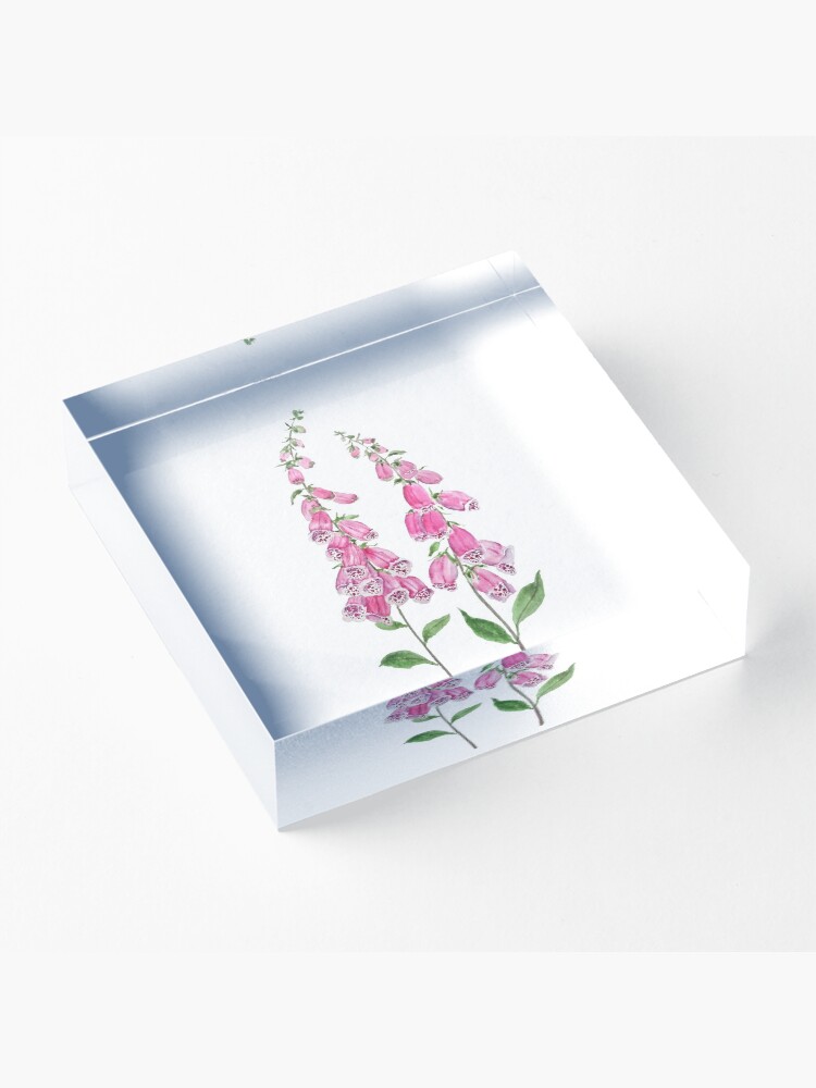 Alternate view of 2 pink foxgloves flowers blossom Acrylic Block