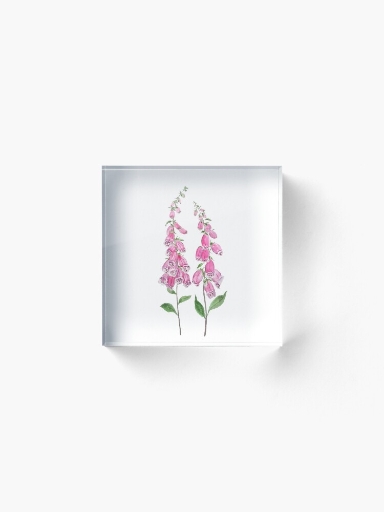 Alternate view of 2 pink foxgloves flowers blossom Acrylic Block