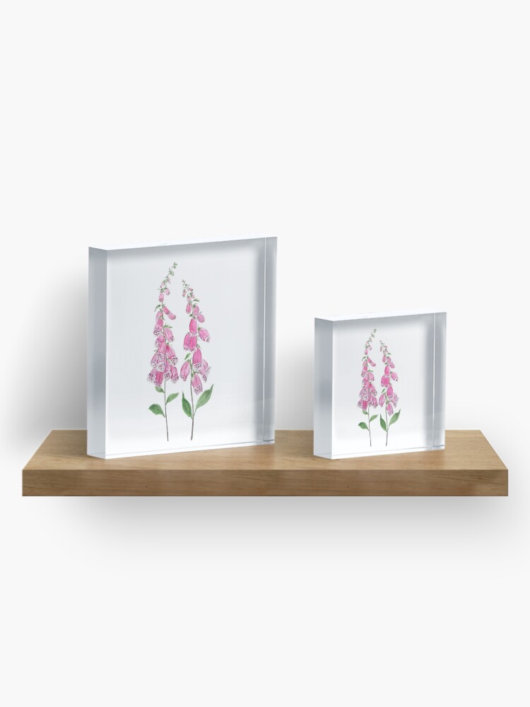 Alternate view of 2 pink foxgloves flowers blossom Acrylic Block