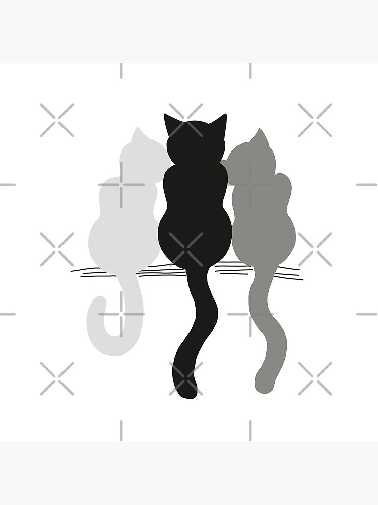 Three Cat Friends Forever in White Background - Black, White Gray Cats  Bestfriends