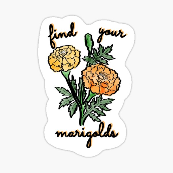 Find Your Marigold: The One Essential Rule for New Teachers