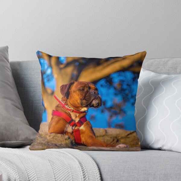 Item preview, Boxer in the sun. designed and sold by Roger  Mackertich.