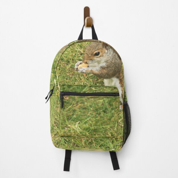 Item preview, Cute squirrel designed and sold by BattaAnastasia.