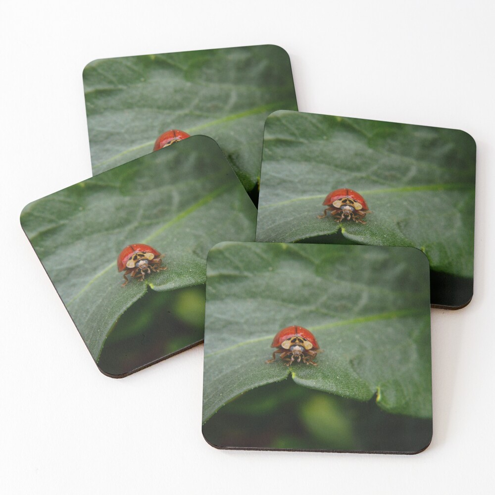 Item preview, Coasters (Set of 4) designed and sold by RewskiPhotos.