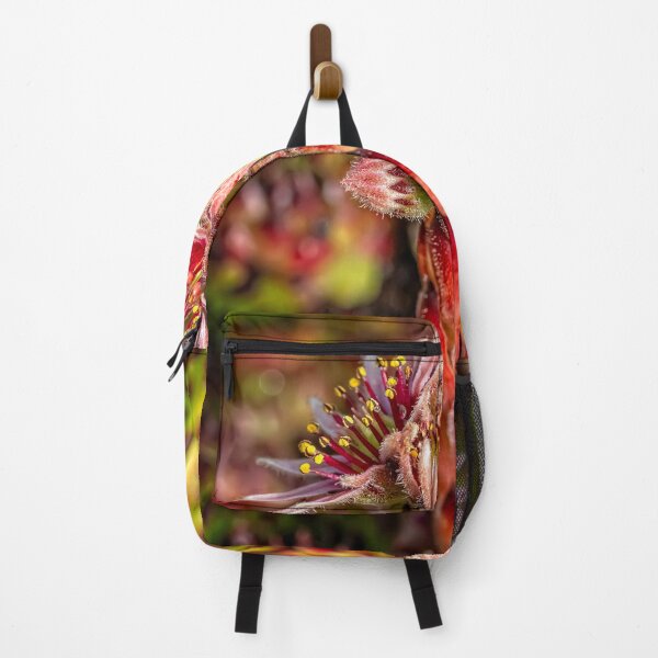 Item preview, Common Houseleek designed and sold by AJEvans.