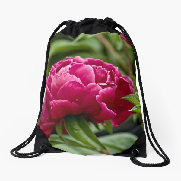 Item preview, Peony designed and sold by Michael Cummings.