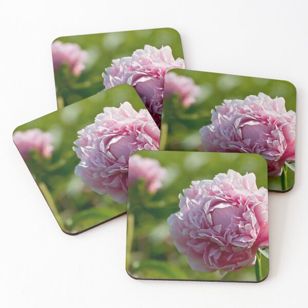 Item preview, Peony designed and sold by Michael Cummings.