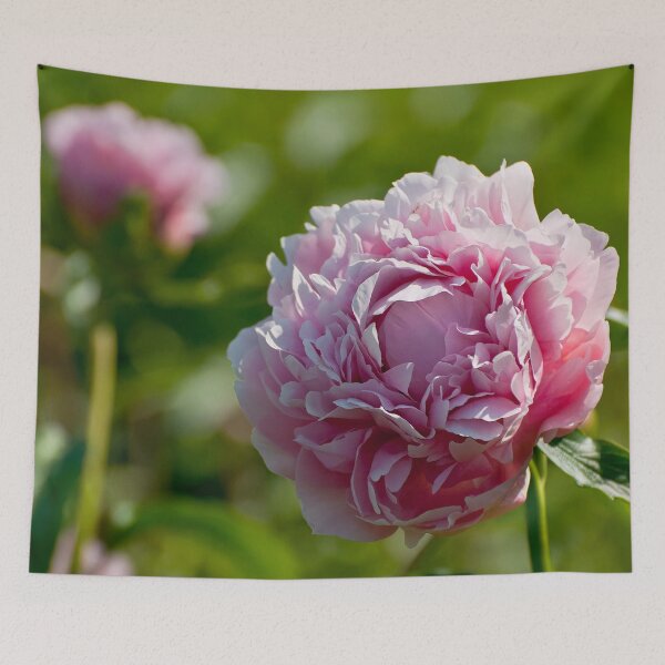 Item preview, Peony designed and sold by Michael Cummings.