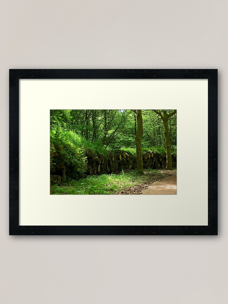 Thumbnail 1 of 7, Framed Art Print, Wooded banks designed and sold by steppeland.