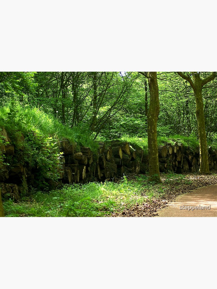 Thumbnail 2 of 2, Greeting Card, Wooded banks designed and sold by steppeland.