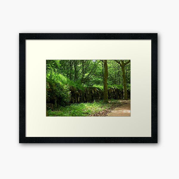 Framed Art Print