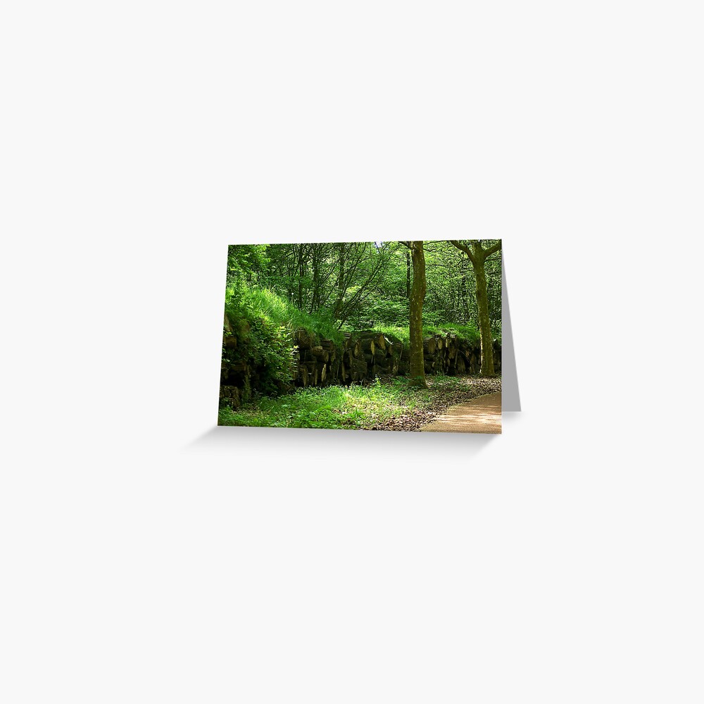 Item preview, Greeting Card designed and sold by steppeland.